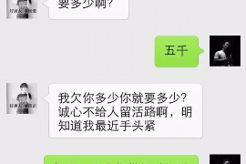 郴州融资清欠服务